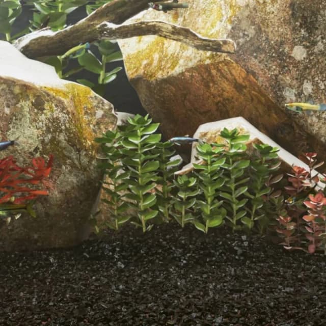 vidaXL Aquarium Sand 25 kg Black 0.2-2 mm, Black 155294