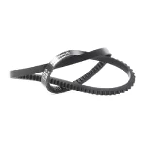 RIDEX V Belt VW,AUDI,SEAT 10C0014 027903137A,054903137,6044992 Fenner Belt 6058200,78HF8620CA,80HF6C301BA,5154152,054903137,054903137