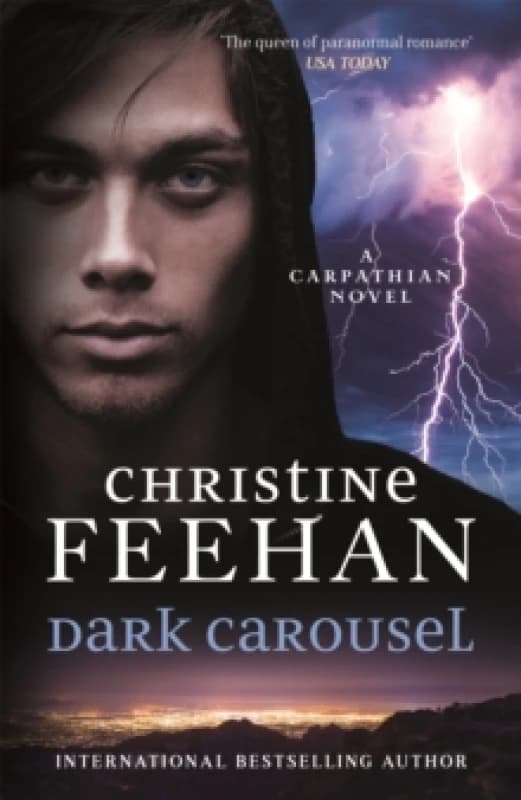 Dark Carousel. Paperback. By Christine Feehan Books