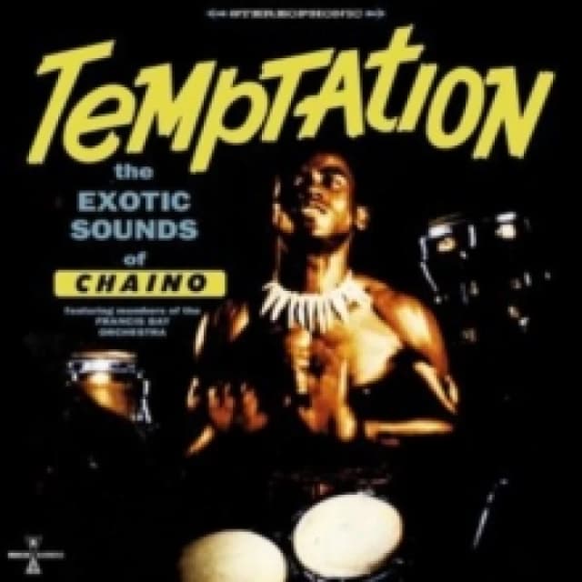 Temptation Vinyl