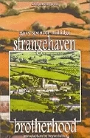 strangehaven vol 2 brotherhood