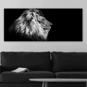 YTY590776598_50120 Multicolor Decorative Canvas Painting