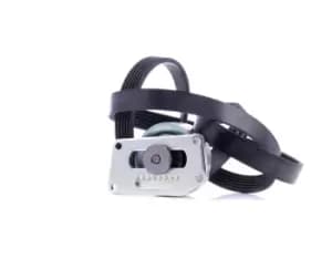 INA V-ribbed belt set PEUGEOT,CITROEN 529 0216 10 1611282180,1611424280,5750T1 5750T6,5750YC,5750Z0,5750Z1,575150,96222715,96337272,9633727280,5750T1