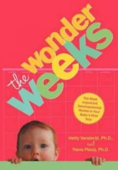 Wonder Weeks by Hetty Vanderijt Book