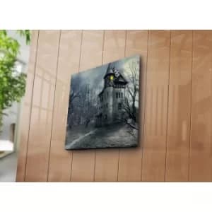 4545K-62 Multicolor Decorative Canvas Painting