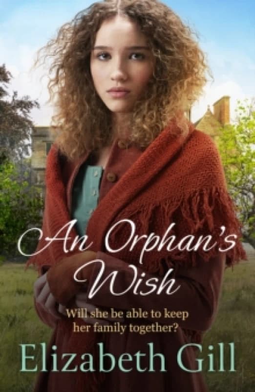 An Orphan's Wish : a moving and uplifting story of one family's efforts to come together in the face of adversity Paperback / softback