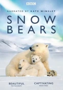 Snow Bears - DVD