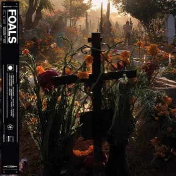Foals - Everything Not Saved Will Be Lost Part 2 Limited Edition Picture Disc Vinyl