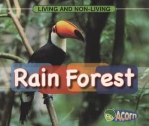 Rainforest by Cassie Mayer Book