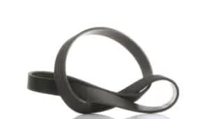 SKF V-ribbed belt FORD,PEUGEOT,TOYOTA VKMV 6PK966 5750QH,5750XF,9800453180 1685812,1701514,AV6Q6C301AA,AV6Q6C301EA,Y65015909A,5750QG,5750XF,9800453180