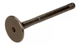 AMP Exhaust Valve VW,AUDI,FORD PVWG028-A-0-N 046109611C,046109611E,046109611F 046109611C,046109611E,046109611F,1669772,1669772,046109611C,046109611E