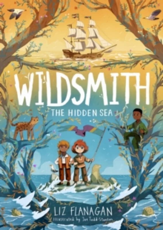 The Hidden Sea : The Wildsmith #3 Paperback / softback