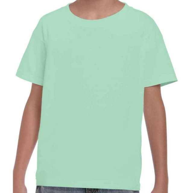 Gildan Plain Cotton Heavy T-Shirt in Mint Size: 12-13 Years Mint Unisex 12-13 Years