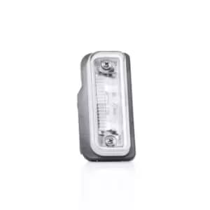 TYC Number Plate Light MERCEDES-BENZ,TESLA 15-0289-00-9 2038200256,A2038200256,2038200256 Licence Plate Light A2038200256