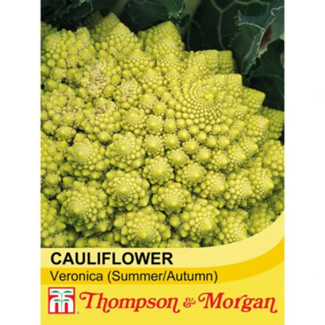 Thompson & Morgan Cauliflower (Romanesco) Veronica 1 Seed Packet (20 Seeds)