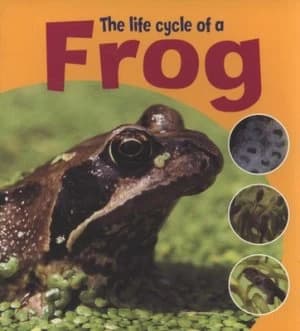 The Life Cycle of a Frog by Ruth Thomson Book