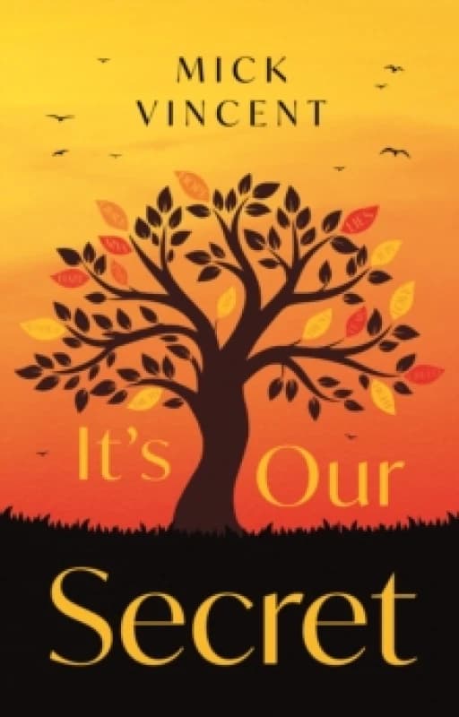 It's Our Secret Paperback / softback