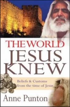 The World Jesus Knew by Anne Punton Paperback