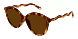 Chloe Sunglasses CH0087S 005