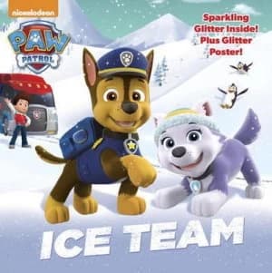 Ice Team by Mike Jackson Book