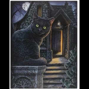 Small What Lies Within Canvas Picture by Lisa Parker