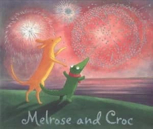 A Heros Birthday by Emma Chichester Clark Paperback