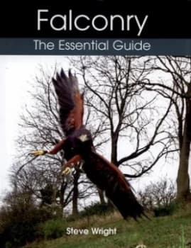 Falconry by Steve Wright Hardback