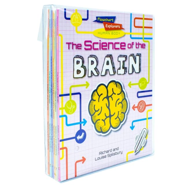 Flowchart Explorers Human Body STEM 6 Science Books Set (Brain, Digestive, Heart, Lungs) Richard and Louise Spilsbury Books