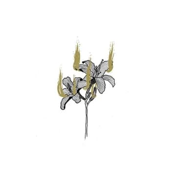 Hyrgal - Fin De Règne Vinyl