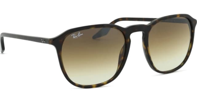 Ray-Ban 0Rb2203 Square Sunglasses Brown VV8SF Male