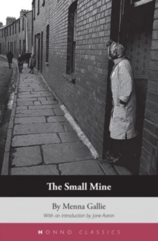 The Small Mine Paperback / softback