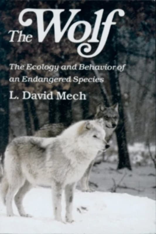The Wolf by David Mech Paperback