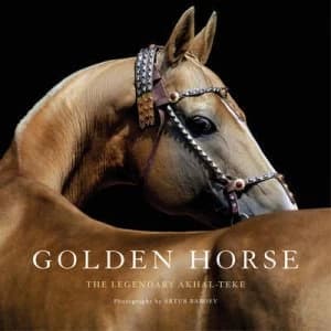 Golden Horse by Artur Baboev Hardback