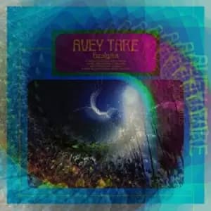 Eucalyptus by Avey Tare CD Album