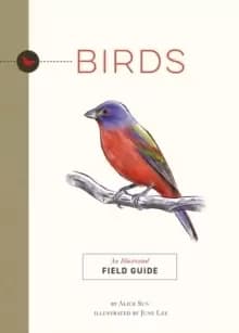 Birds : An Illustrated Field Guide