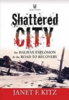 Shattered City Book