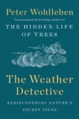 weather detective rediscovering natures secret signs