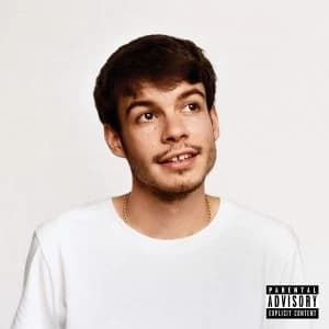 Rex Orange County - Pony Vinyl