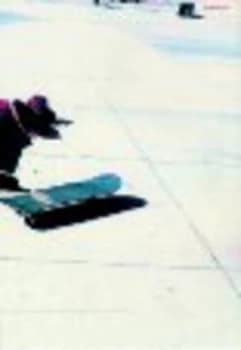 Dysfunctional by Aaron Rose and Ben Weaver and Andrew Holmes Paperback