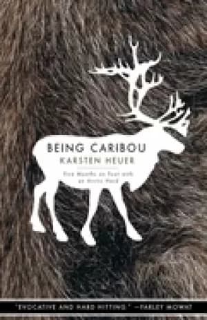 being caribou five months on foot with an arctic herd