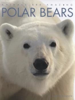 Polar Bears by Valerie Bodden Hardback