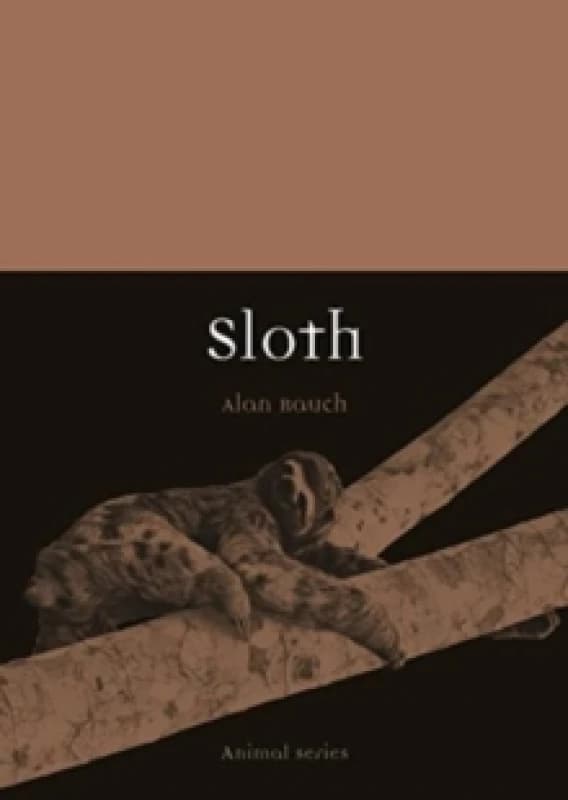 Sloth Paperback / softback