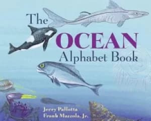 ocean alphabet book