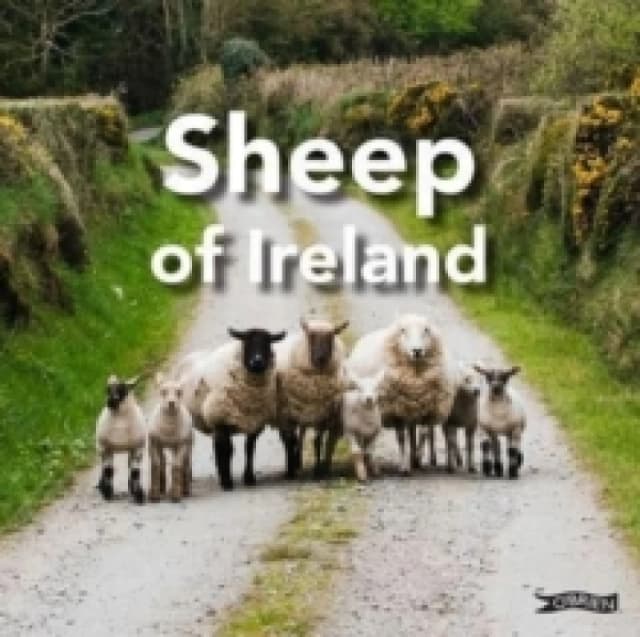 Sheep of Ireland Hardback