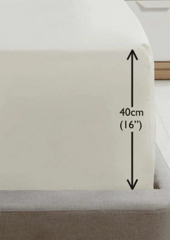 Rapport Home SND Percale House Wife Pillowcase Pair in Cream Size: Standard Pillow Case Cream Unisex Standard Pillow Case
