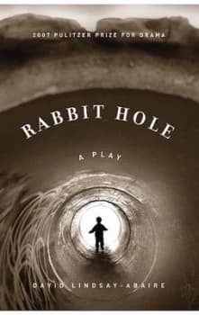 Rabbit Hole by David Lindsay-Abaire Book
