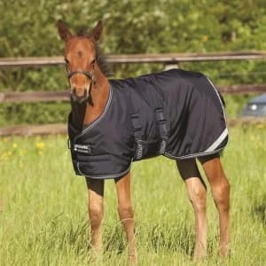 Amigo Foal Rug - Navy