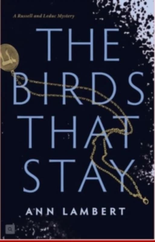 The Birds That Stay Paperback / softback