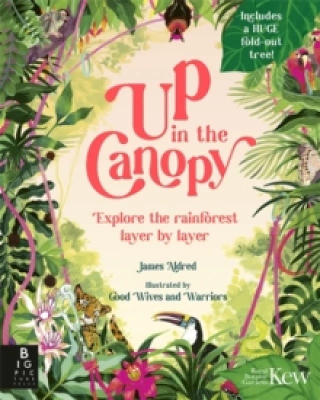 Up in the Canopy : Explore the Rainforest, Layer by Layer Hardback