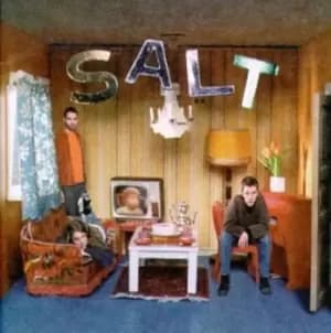 Salt - Auscultate CD Album - Used